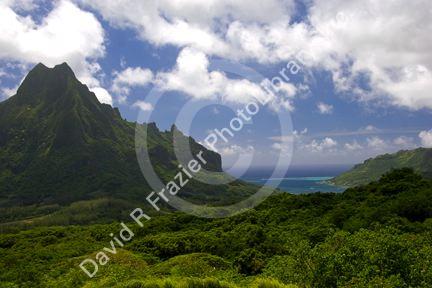 A view of Cook's Bay from Belvedere on the island of Moorea.