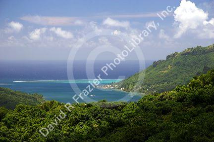 A view of Cook's Bay from Belvedere on the island of Moorea.