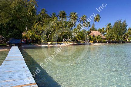 The lagoon in front of the Tipaniers Hotel on the island of Moorea.
