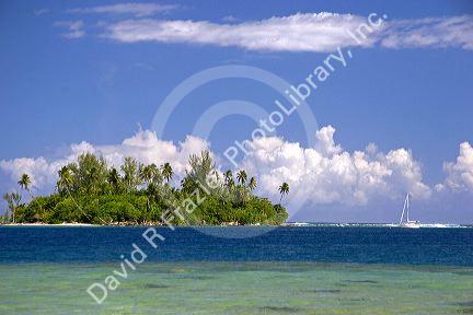 Small island called a motu and sailboat off the island of Moorea.