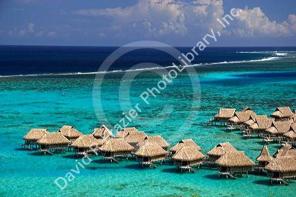 Grass hut bungalows at Sofitel Hotel on the island of Moorea.