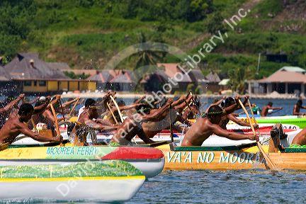 Tahitians take part in an outrigger canoe pirogue race off the island of Moorea.