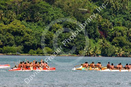 Tahitians take part in an outrigger canoe pirogue race off the island of Moorea.