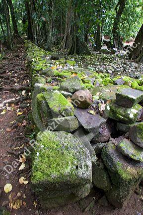 Rock walls are remains of a Marae, ancient settlement on the island of Moorea.