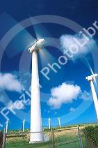 Electric wind generators in Hawaii.