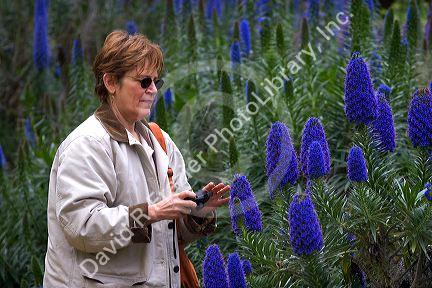 Woman photographing flowers in Monterey, California.