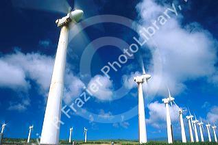 Electric wind generators in Hawaii.