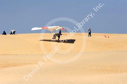Hang gliders on sand dunes at Nags Head, North Carolina.