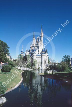 Walt Disney World in Orlando, Florida.