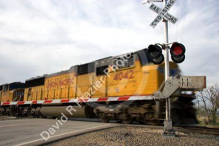 Union Pacific train at a train crossing in Idaho.