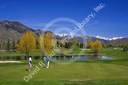 Golfing in Sun Valley, Idaho with Boulder Mountains in the background.