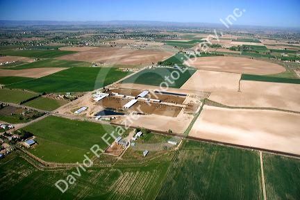 Aerial view of farmland and a dairy farm in Canyon County, Idaho.
