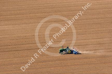 Aerial view of a farmer on a tractor planting seed in Canyon County, Idaho.