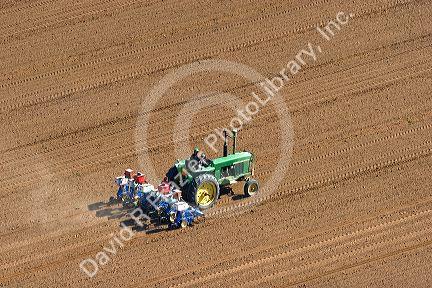Aerial view of a farmer on a tractor planting seed in Canyon County, Idaho.