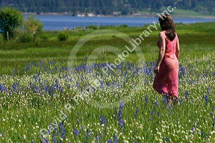 Woman walking through a meadow of wildflowers including the camas lily in Valley County, Idaho. MR