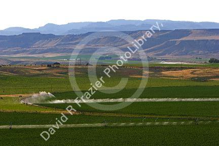 Irrigation on farmland near Glenns Ferry, Idaho.