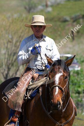 Cowboy on horseback during a cattle round up near Emmett, Idaho.