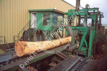 Sawmill log debarker.