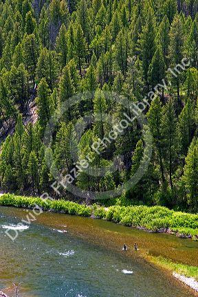 Fly fishing on the Salmon River between the towns of Sunbeam and Stanley, Idaho.