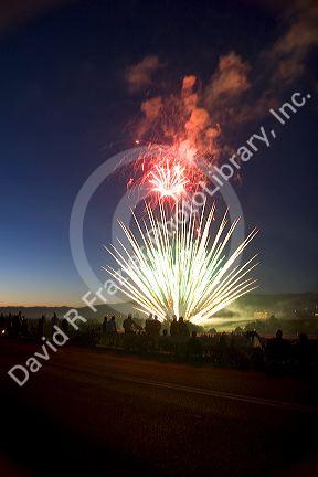 People watching a Fourth of July fireworks display in Boise, Idaho.