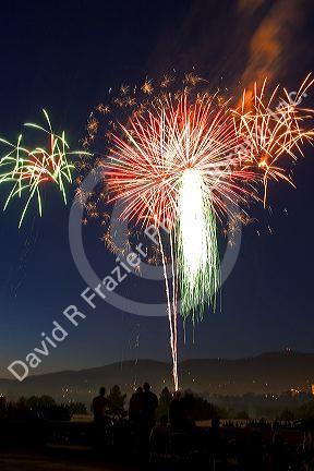 People watch a Fourth of July fireworks display in Boise, Idaho.