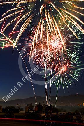 People watch a Fourth of July fireworks display in Boise, Idaho.
