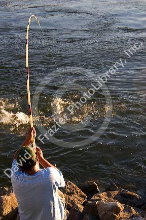Man fishing for sturgeon at C.J. Strike Reservior on the Snake River in Idaho.