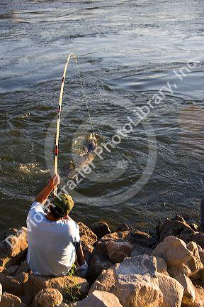 Man fishing for sturgeon at C.J. Strike Reservior on the Snake River in Idaho.