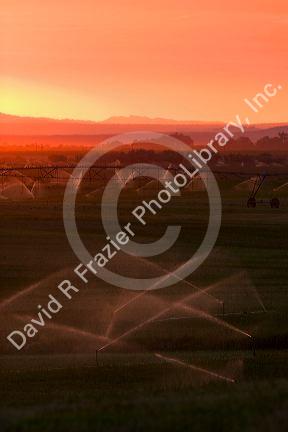 Sunset on farmland irrigation near Grandview, Idaho.