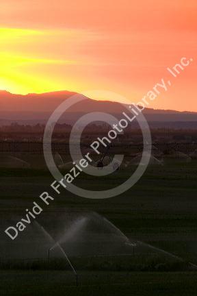 Sunset on farmland irrigation near Grandview, Idaho.