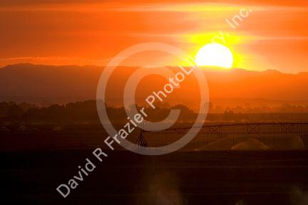 Sunset on farmland irrigation near Grandview, Idaho.