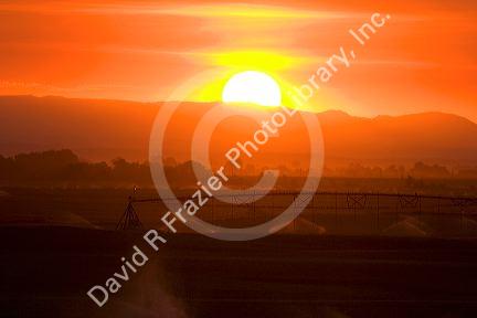 Sunset on farmland irrigation near Grandview, Idaho.