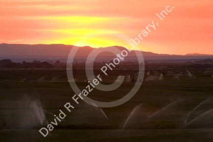 Sunset on farmland irrigation near Grandview, Idaho.