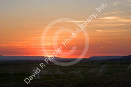 Sunset on farmland irrigation near Grandview, Idaho.