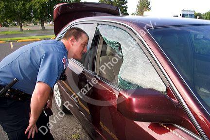 Police officer investigating a car burglary in Oregon.
