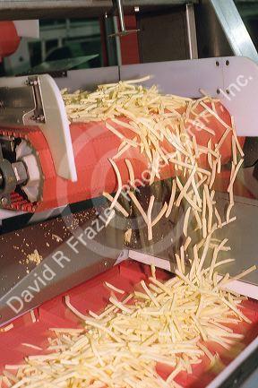 Frozen french fries at a potato processing plant in Caldwell, Idaho.