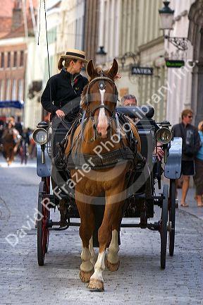 Horse drawn carriage in the city of Bruges in the province of West Flanders, Belgium.
