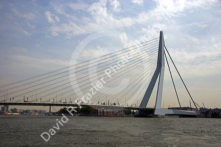 The Erasmusbrug crossing the Nieuwe Maar river at Rotterdam, Netherlands.