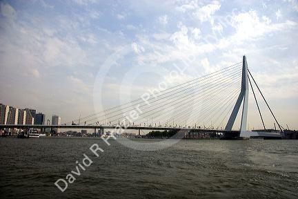 The Erasmusbrug Bridge crossing the Nieuwe Mass river at Rotterdam, Netherlands.