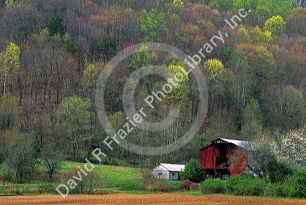 Springtime on a farm in rural West Virginia.
