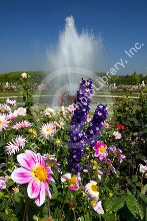 Flowers and fountains in the gardens at The Palace of Versailles at Versailles in France.