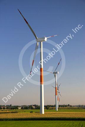 Commercial power generating windmills in northern Belgium south of Rotterdam, Holland.
