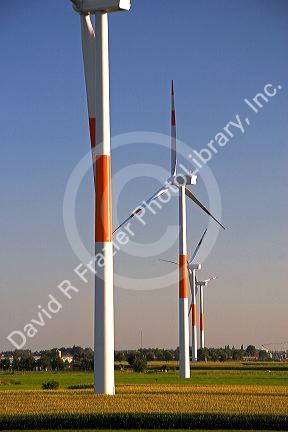 Commercial power generating windmills in northern Belgium south of Rotterdam, Holland.