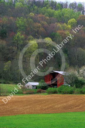 Springtime on a farm in rural West Virginia.