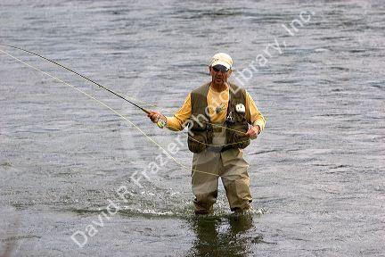 Fly fishing on the Henrys Fork of the Snake River in southeastern Idaho.