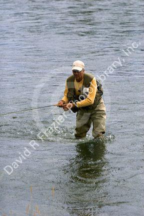Fly fishing on the Henrys Fork of the Snake River in southeastern Idaho.