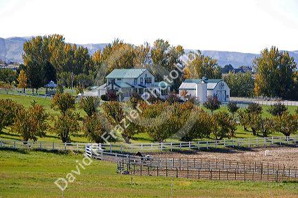 Farm house near Emmett, Idaho.