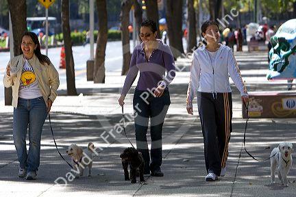 Mexican women walking their dogs in Mexico City, Mexico.