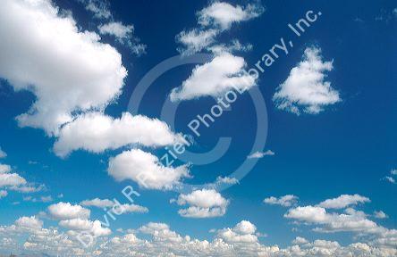 Cumulus clouds in a blue sky.