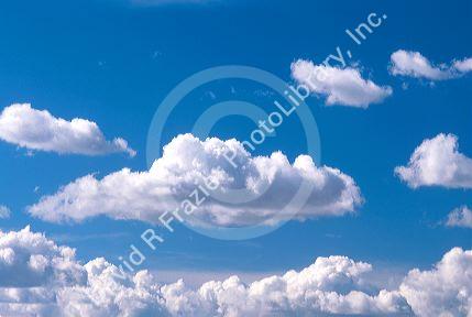 Cumulus clouds in a blue sky.